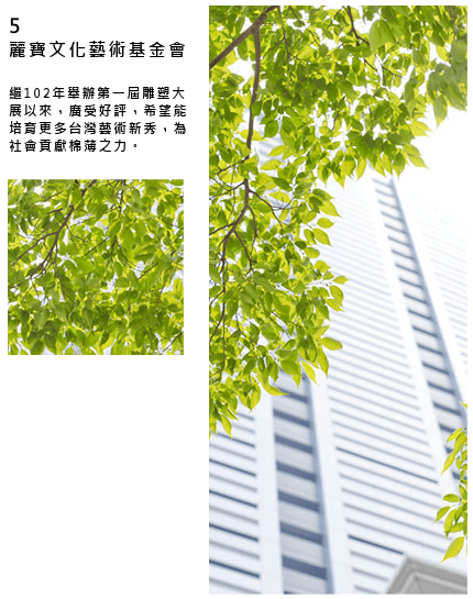 關係企業 - 第3事業體